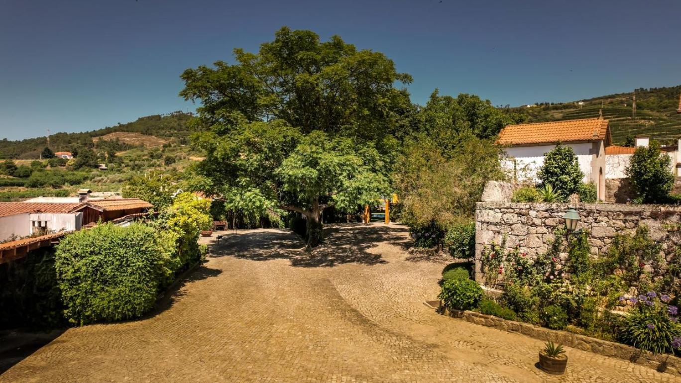 Готель Quinta Do Terreiro - Turismo De Habitacao Ламегу Екстер'єр фото